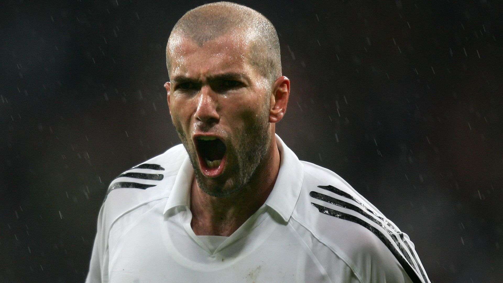 这样的公开 这样的公开